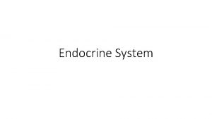 Endocrine System Functions of endocrine The system consists