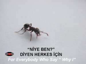 NYE BEN DYEN HERKES N For Everybody Who