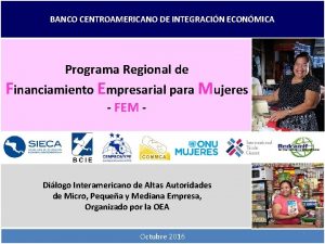 BANCO CENTROAMERICANO DE INTEGRACIN ECONMICA Programa Regional de
