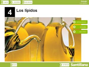 INICIO ESQUEMA 4 Biologa Los lpidos RECURSOS Los