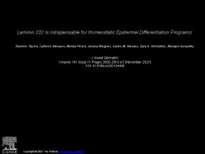 Laminin 332 Is Indispensable for Homeostatic Epidermal Differentiation