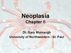 Neoplasia Chapter 6 Dr Gary Mumaugh University of