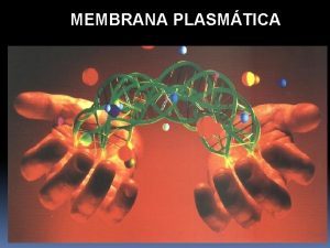 MEMBRANA PLASMTICA MEMBRANA PLASMTICA Funes Composio Qumica Propriedades