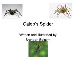 Calebs Spider Written and illustrated by Brendan Balcom