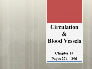 Circulation Blood Vessels Chapter 14 Pages 274 296