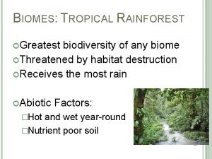 BIOMES TROPICAL RAINFOREST Greatest biodiversity of any biome