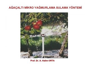 AAALTI MKRO YAMURLAMA SULAMA YNTEM Prof Dr A