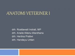 ANATOMI VETERINER I drh Rositawati Indrati MP drh