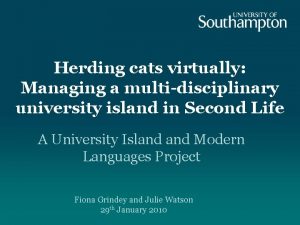 Herding cats virtually Managing a multidisciplinary university island