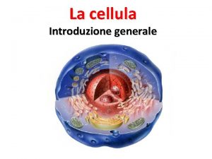 La cellula Introduzione generale La teoria cellulare La
