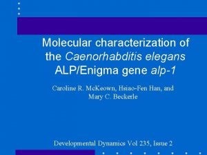 Molecular characterization of the Caenorhabditis elegans ALPEnigma gene