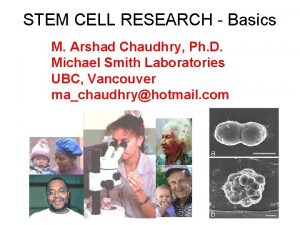 STEM CELL RESEARCH Basics M Arshad Chaudhry Ph