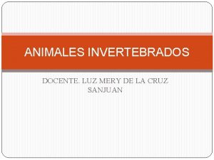 ANIMALES INVERTEBRADOS DOCENTE LUZ MERY DE LA CRUZ