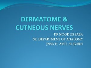 DERMATOME CUTNEOUS NERVES DR NOOR US SABA SR