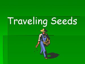 Traveling Seeds Why do seeds travel Seeds need