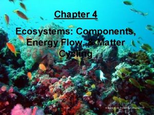 Chapter 4 Ecosystems Components Energy Flow Matter Cycling