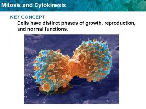 Mitosis and Cytokinesis KEY CONCEPT Cells have distinct