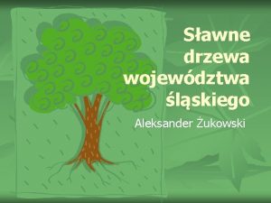 Sawne drzewa wojewdztwa lskiego Aleksander ukowski Aleksander ukowski