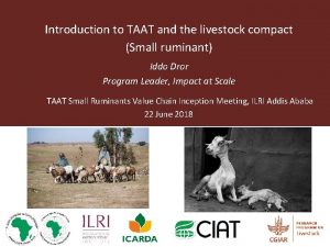 Introduction to TAAT and the livestock compact Small