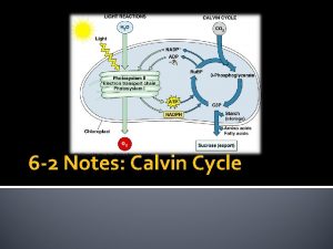 6 2 Notes Calvin Cycle Calvin Cycle Series