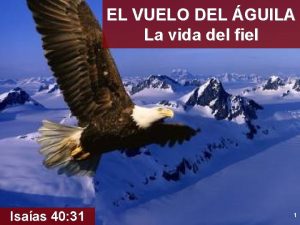 EL VUELO DEL GUILA La vida del fiel