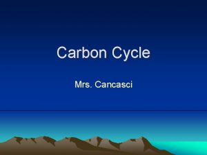 Carbon Cycle Mrs Cancasci The Carbon Cycle Besides