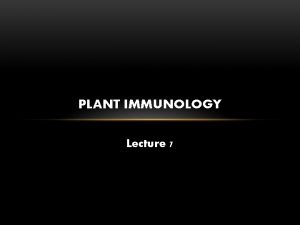 PLANT IMMUNOLOGY Lecture 7 WHAT IS A PLANT