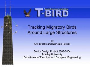 Tracking Migratory Birds Around Large Structures by Arik