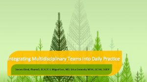 Integrating Multidisciplinary Teams into Daily Practice Steven Elrod