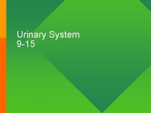 Urinary System 9 15 Nephron types 8 Cortical