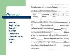 Warm up Nucleus Replicating Genetic material Chromatin Chromosomes