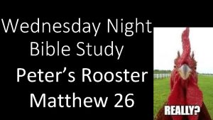 Wednesday Night Bible Study Peters Rooster Matthew 26