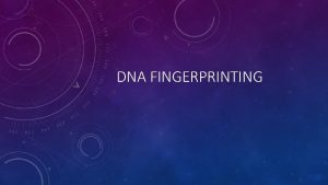 DNA FINGERPRINTING WHAT IS DNA FINGERPRINTING DNA fingerprinting