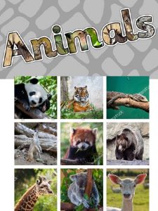 Animal Reports to read Have a read through