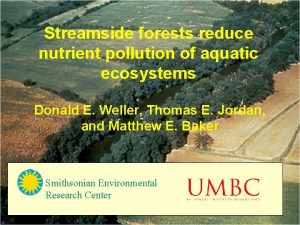 Streamside forests reduce nutrient pollution of aquatic ecosystems