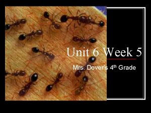 Unit 6 Week 5 Mrs Dovers 4 th