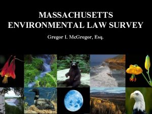 MASSACHUSETTS ENVIRONMENTAL LAW SURVEY Gregor I Mc Gregor