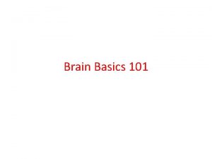 Brain Basics 101 Reptilian Brain The Preverbal Brain