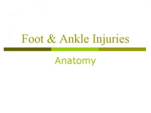 Foot Ankle Injuries Anatomy Foot Ankle Injuries Anatomy