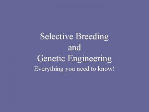 Selective Breeding and Genetic Engineering Everything you need