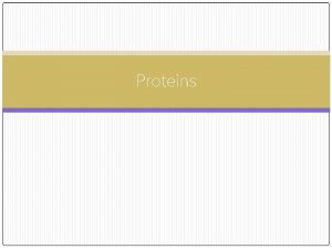 Proteins Proteins Long linear chains of polypeptides Polypeptide