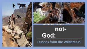 God vs not God Lessons from the Wilderness
