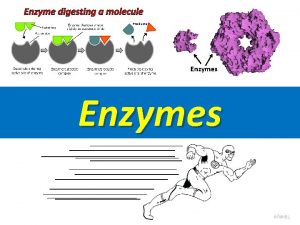 Enzyme digesting a molecule Enzymes Proteins are made