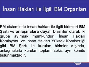 nsan Haklar ile lgili BM Organlar BM sisteminde