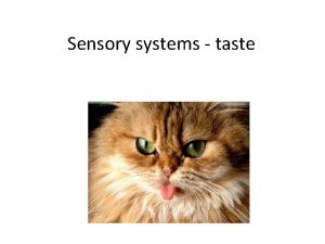 Sensory systems taste Taste Aim understanding of the