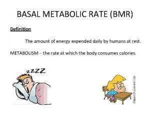 BASAL METABOLIC RATE BMR Definition The amount of