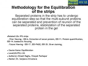 Methodology for the Equilibration of the strips Separated