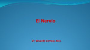 El Nervio Dr Eduardo Cornejo Msc Objetivos 1
