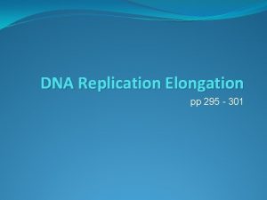 DNA Replication Elongation pp 295 301 2 Replication