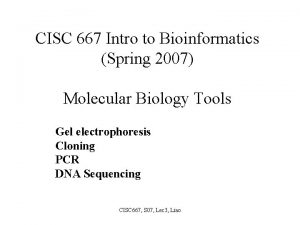 CISC 667 Intro to Bioinformatics Spring 2007 Molecular